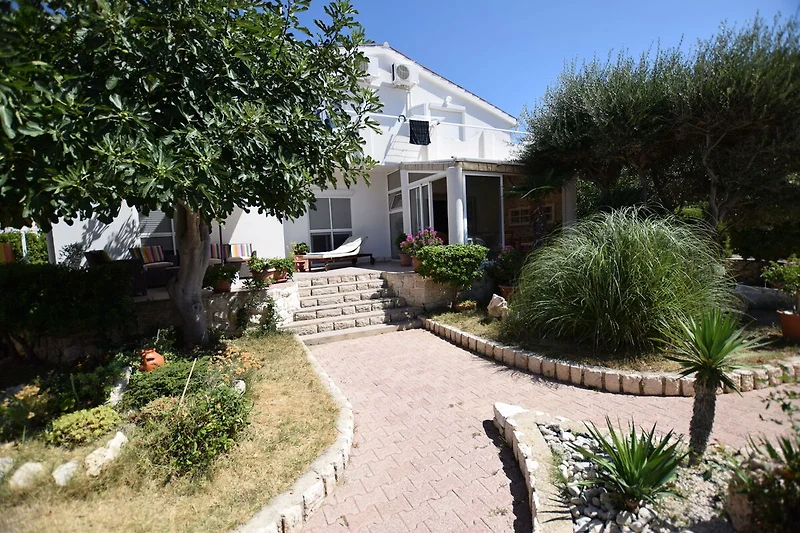 Exterieur vakantiehuis (zomer)