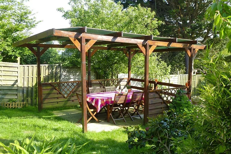 Garten (Sommer)