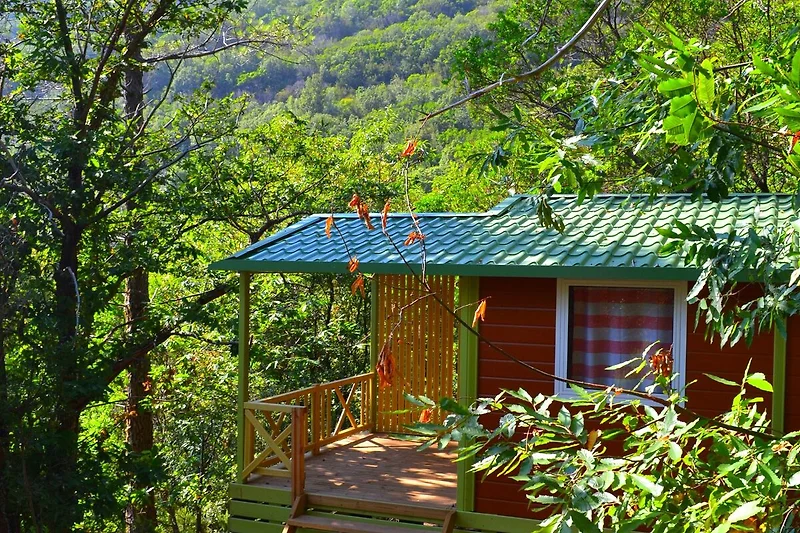 Außenseite Ferienhaus (Sommer)