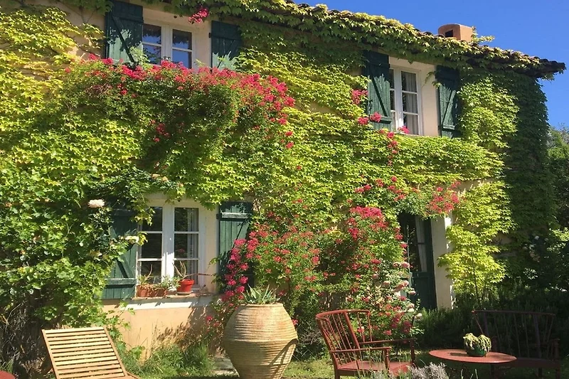 Esterno casa vacanze (estate)