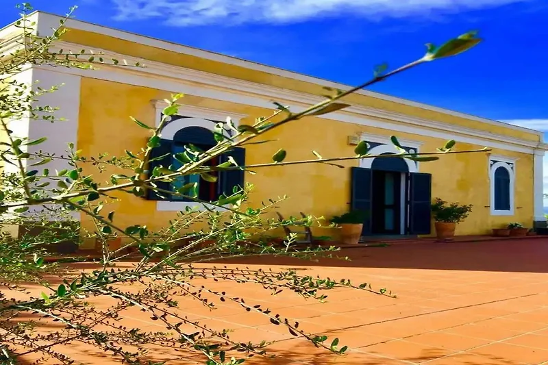 Esterno casa vacanze (estate)