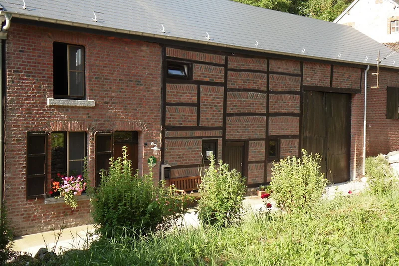 Außenseite Ferienhaus (Sommer)