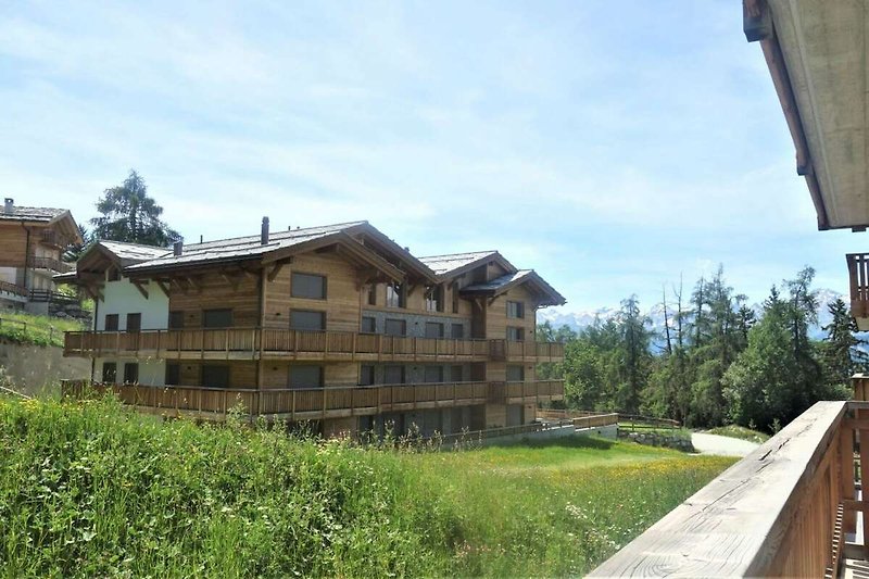Außenseite Ferienhaus (Sommer)