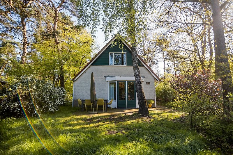 Außenseite Ferienhaus (Sommer)