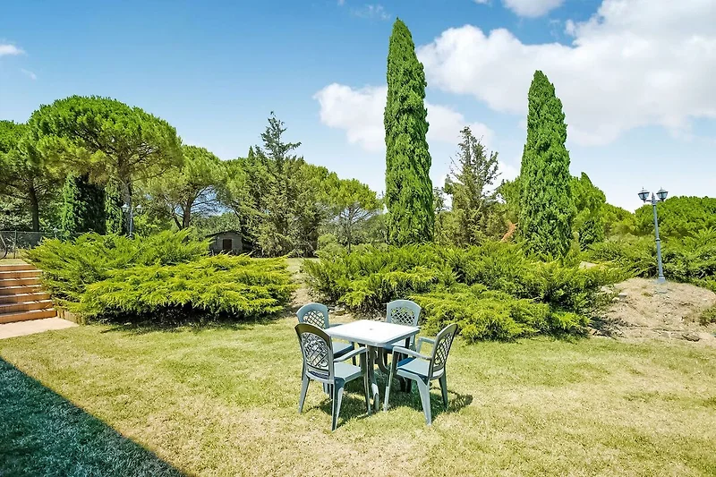 Garten (Sommer)