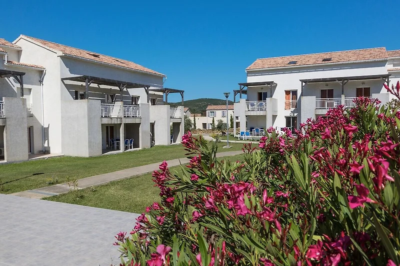 Esterno casa vacanze (estate)