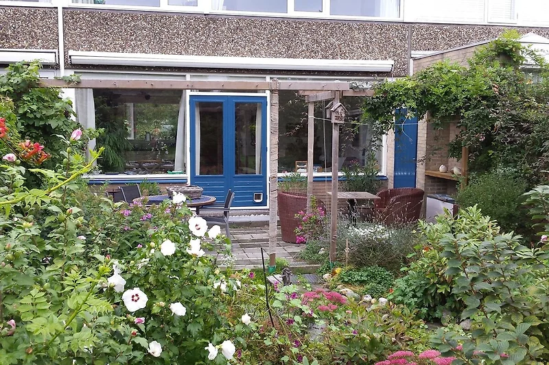 Exterieur vakantiehuis (zomer)