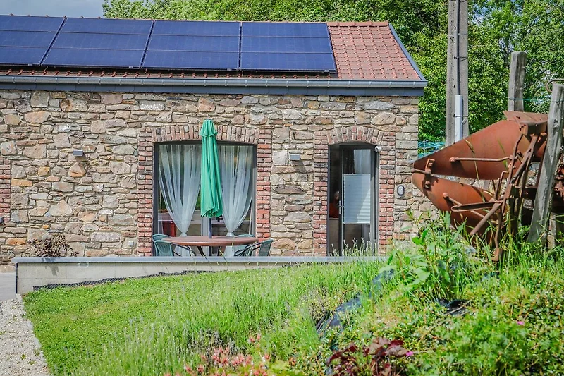 Exterieur vakantiehuis (zomer)