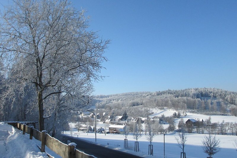 Uitzicht van vakantiehuis (winter)
