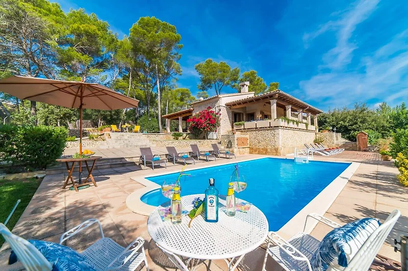 Terrasse / Balkon