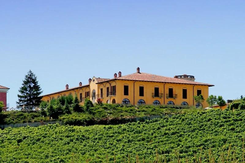 Außenseite Ferienhaus (Sommer)