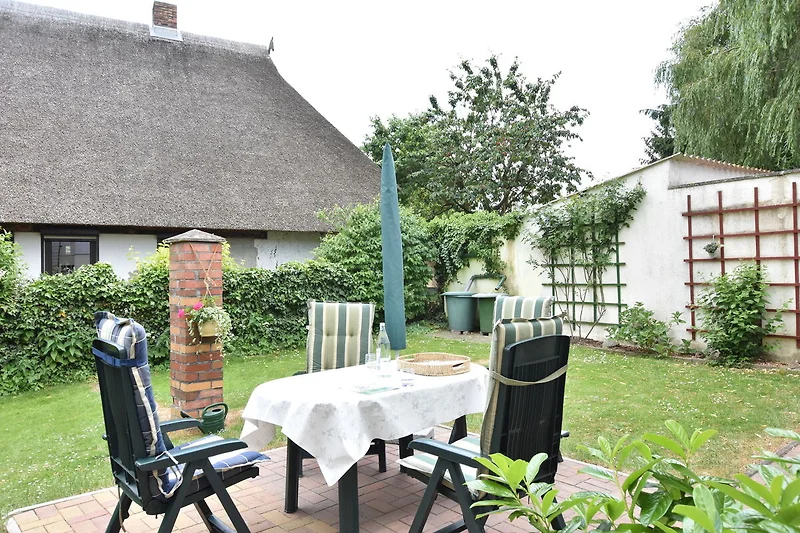 Exterieur vakantiehuis (zomer)