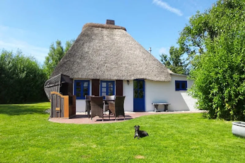 Außenseite Ferienhaus (Sommer)