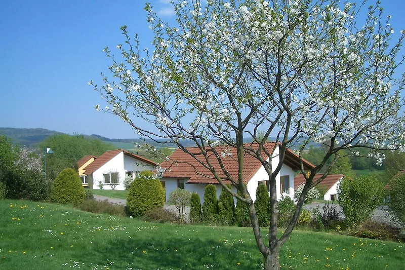 Esterno casa vacanze (estate)