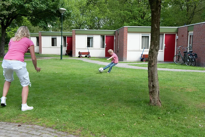 Exterieur vakantiehuis (zomer)