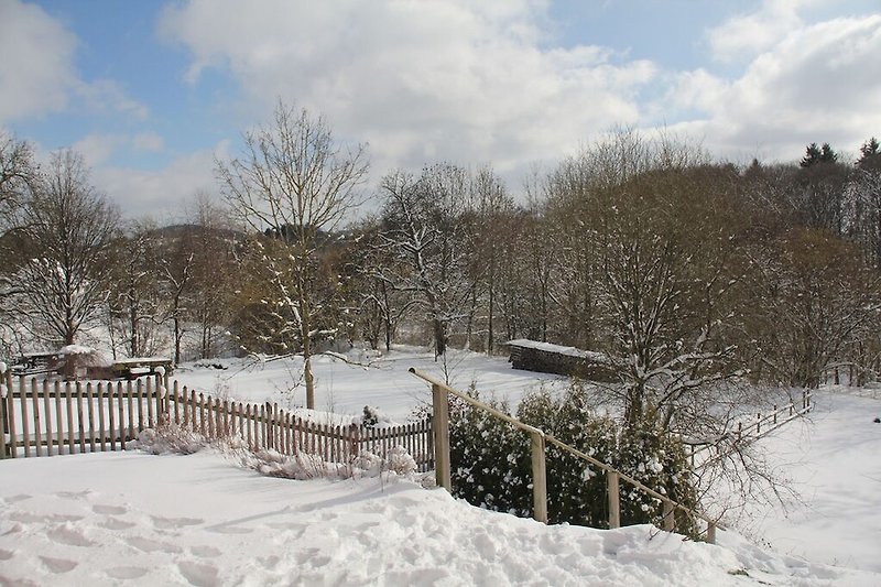 Jardín (invierno)