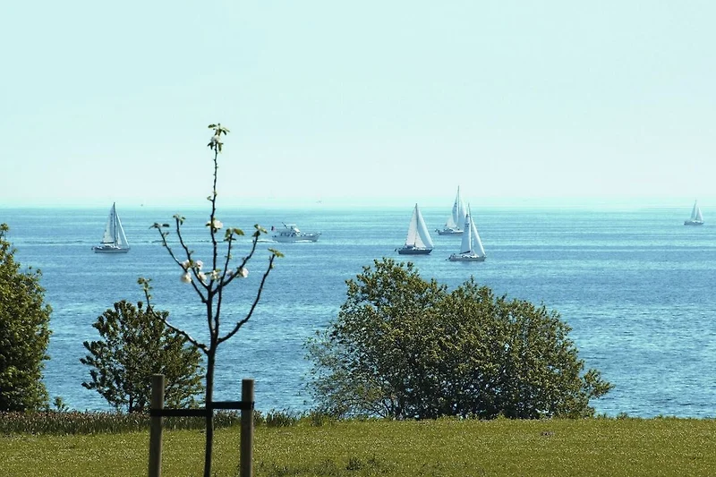 Directe omgeving (zomer) (<1 km)