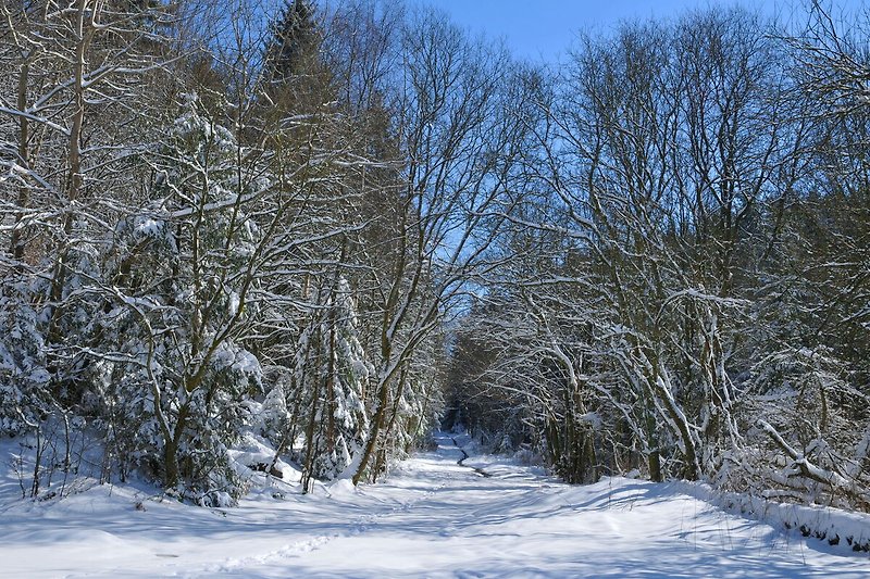 Entornos (invierno) (1-5 km)