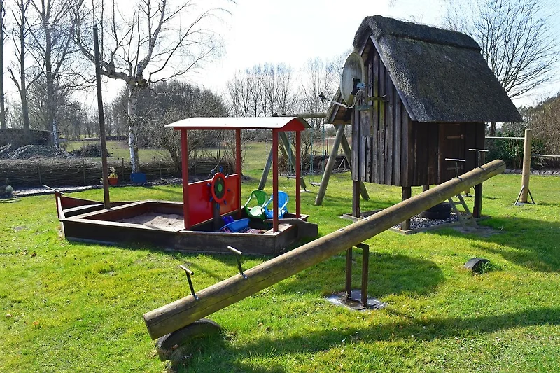 Tuin (zomer)
