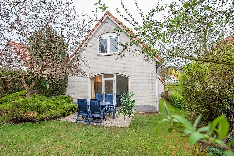 Außenseite Ferienhaus (Sommer)