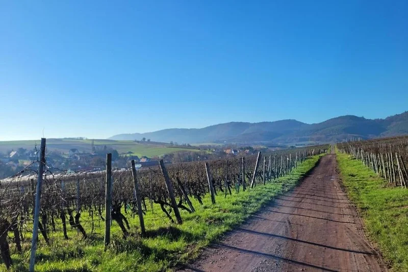 In der Region (Sommer) (>5 km)