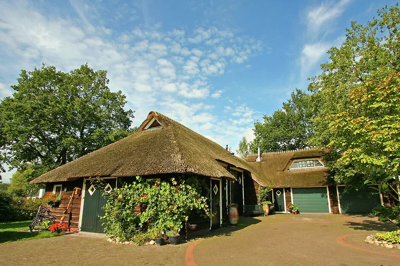 Außenseite Ferienhaus (Sommer)