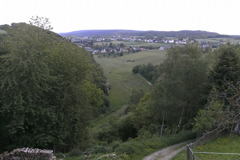 Aussicht vom Ferienhaus (Sommer)