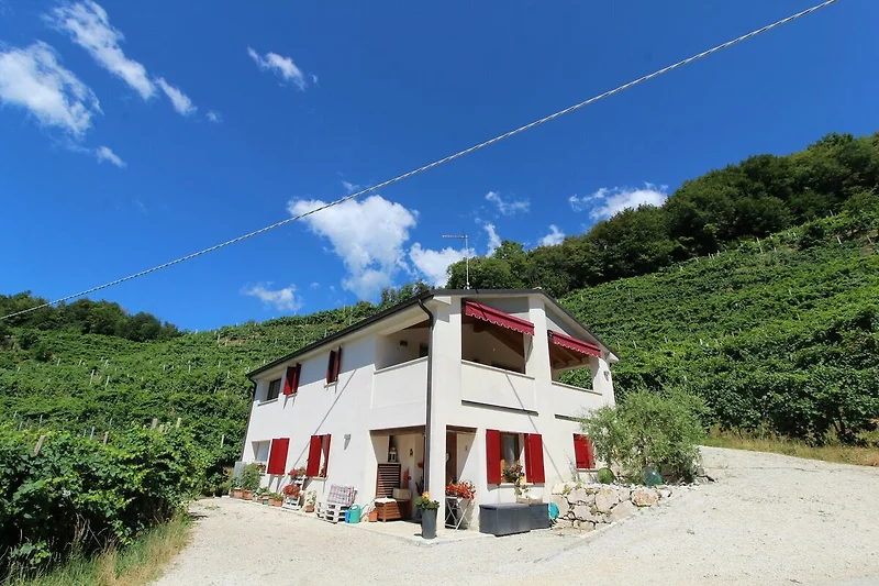 Exterieur vakantiehuis (zomer)
