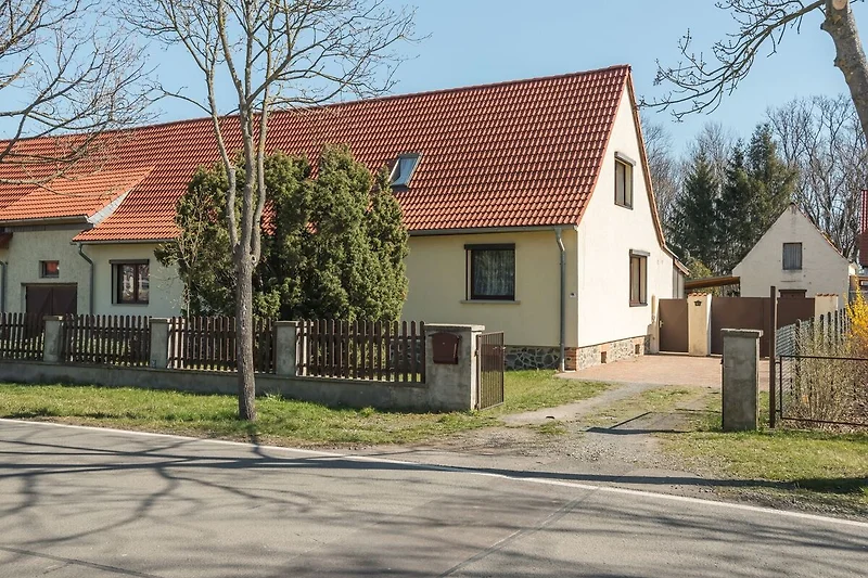 Außenseite Ferienhaus (Sommer)