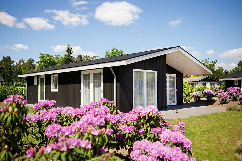 Exterieur vakantiehuis (zomer)