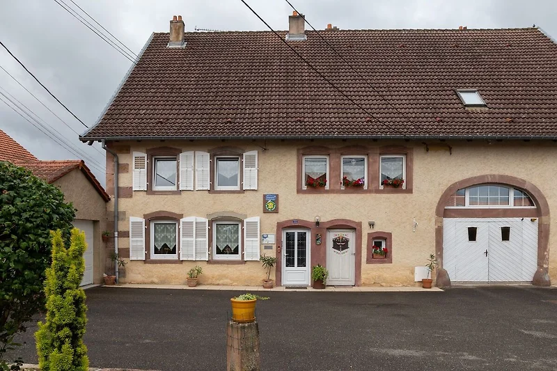 Außenseite Ferienhaus (Sommer)