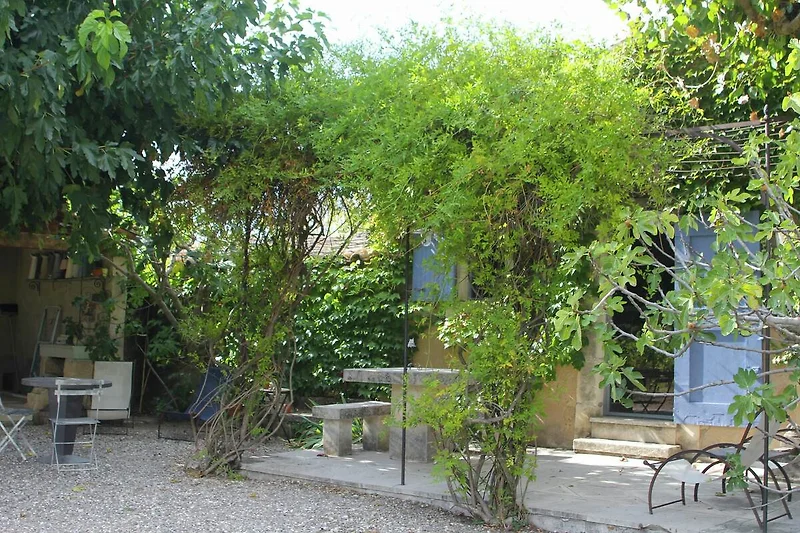 Exterieur vakantiehuis (zomer)