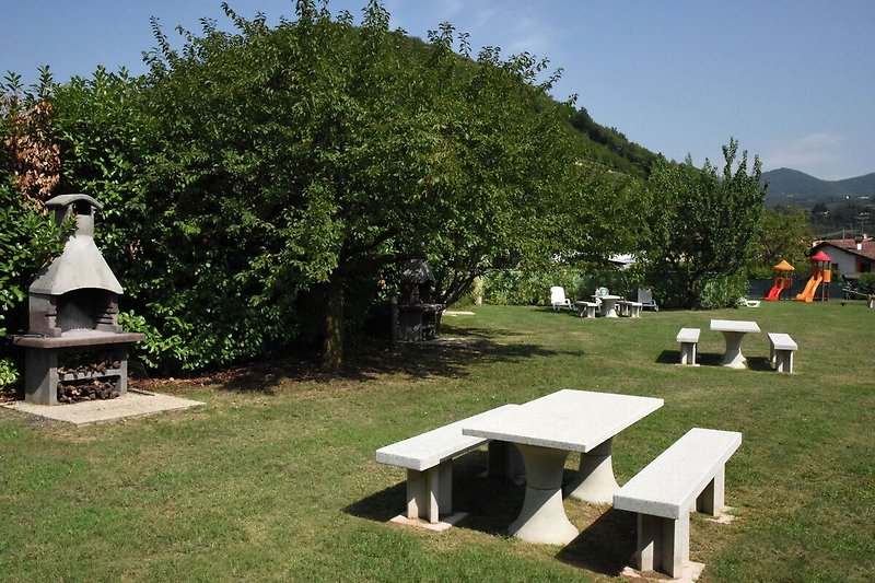 Garten (Sommer)