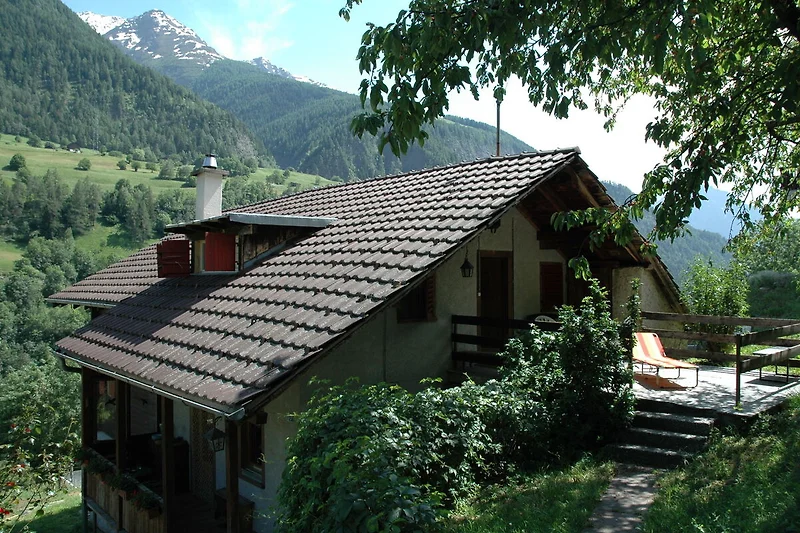 Außenseite Ferienhaus (Sommer)