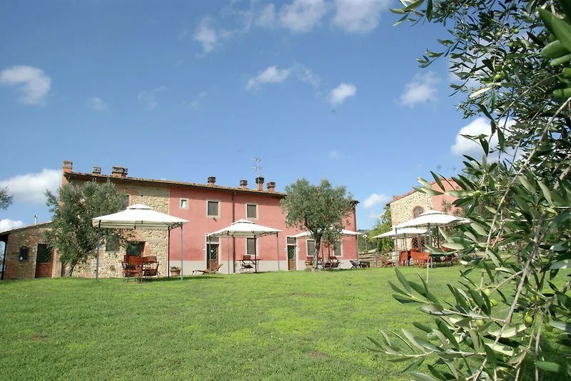 Außenseite Ferienhaus (Sommer)
