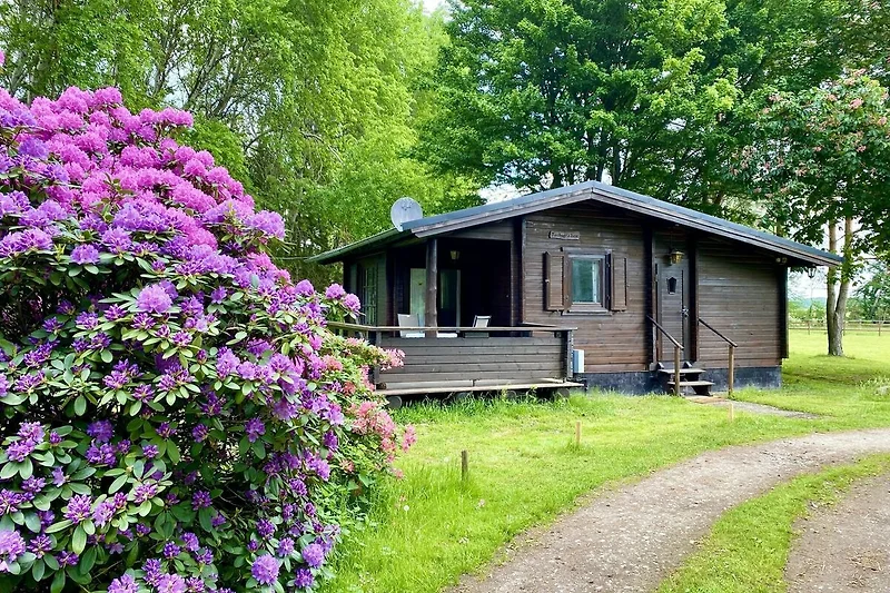 Exterieur vakantiehuis (zomer)