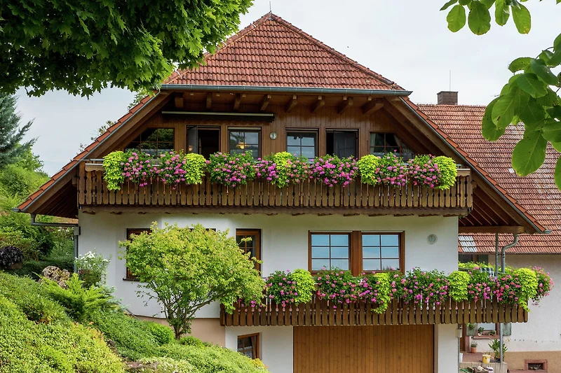Außenseite Ferienhaus (Sommer)