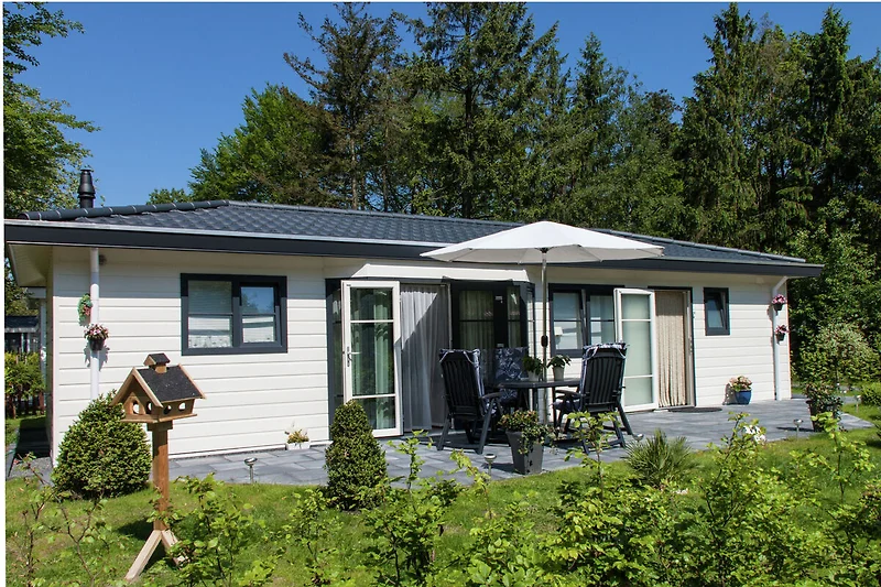 Außenseite Ferienhaus (Sommer)