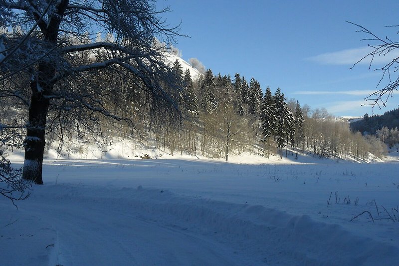 Panorama dalla casa  (inverno)