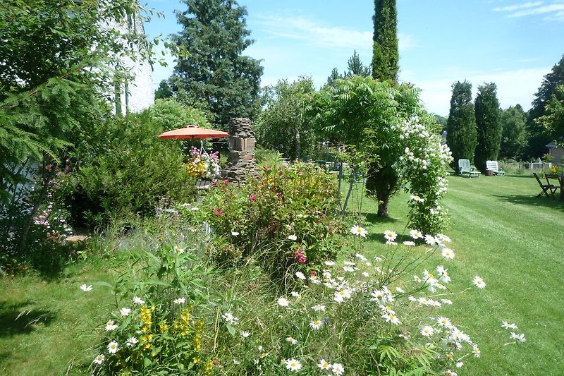 Jardín (verano)