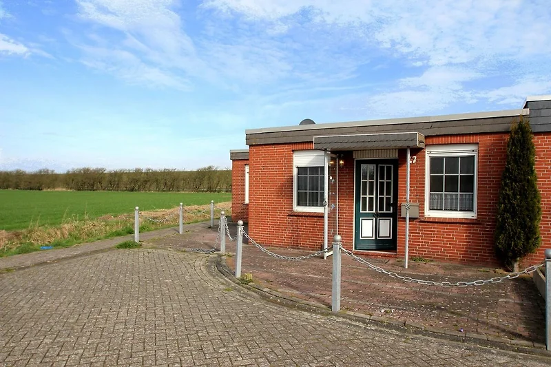 Außenseite Ferienhaus (Sommer) Außenseite Ferienhaus (Sommer)