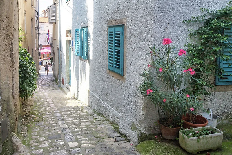 Esterno casa vacanze (estate)
