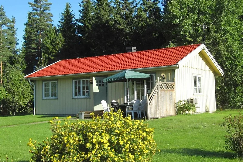 Esterno