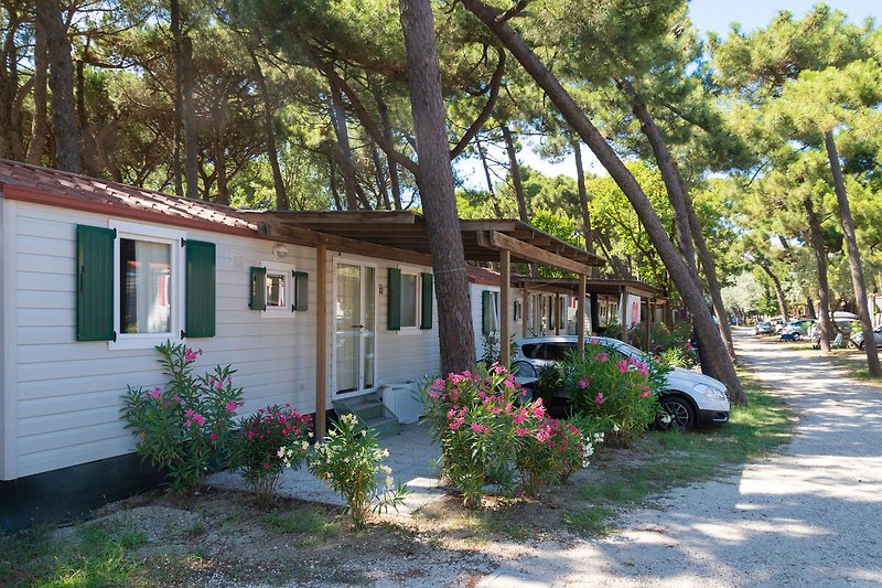 Extérieur maison de vacances (été)