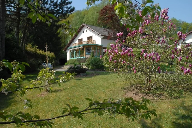 Außenseite Ferienhaus (Sommer)