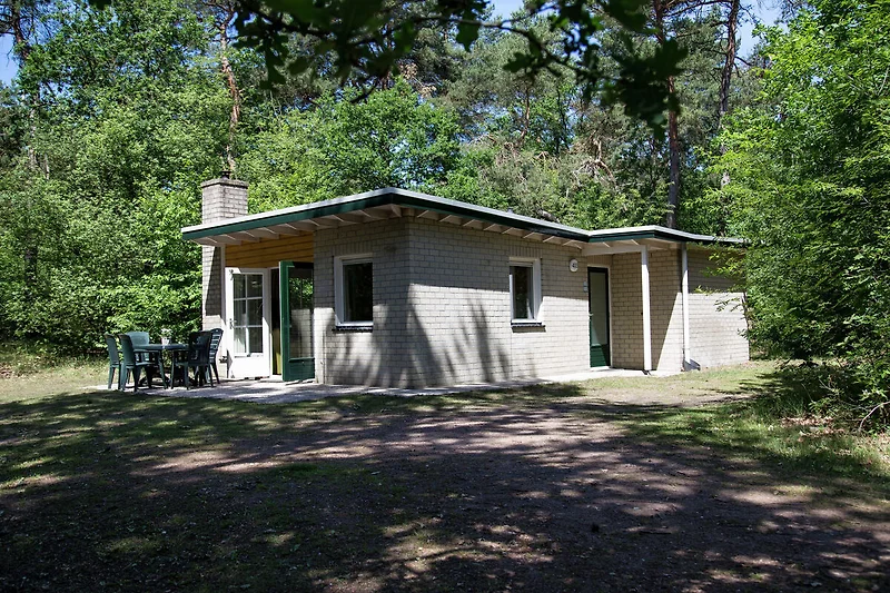 Exterieur vakantiehuis (zomer)