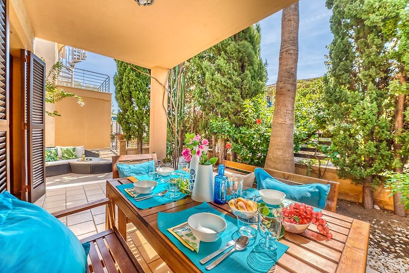 terras