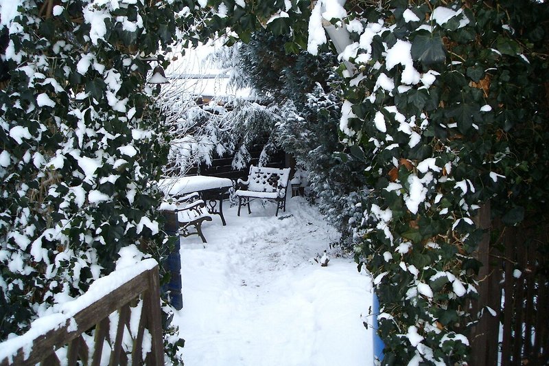 Ogród (zima)