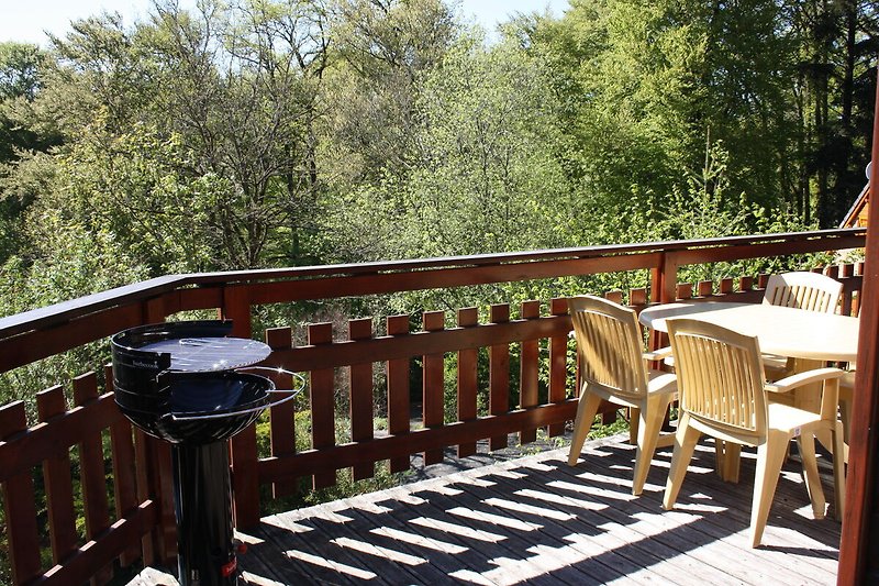 Aussicht vom Ferienhaus (Sommer)