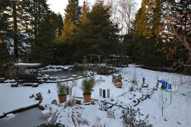 Ogród (zima)